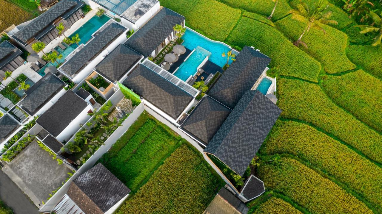 Villa Mia By Balisuperhost Ubud Eksteriør billede
