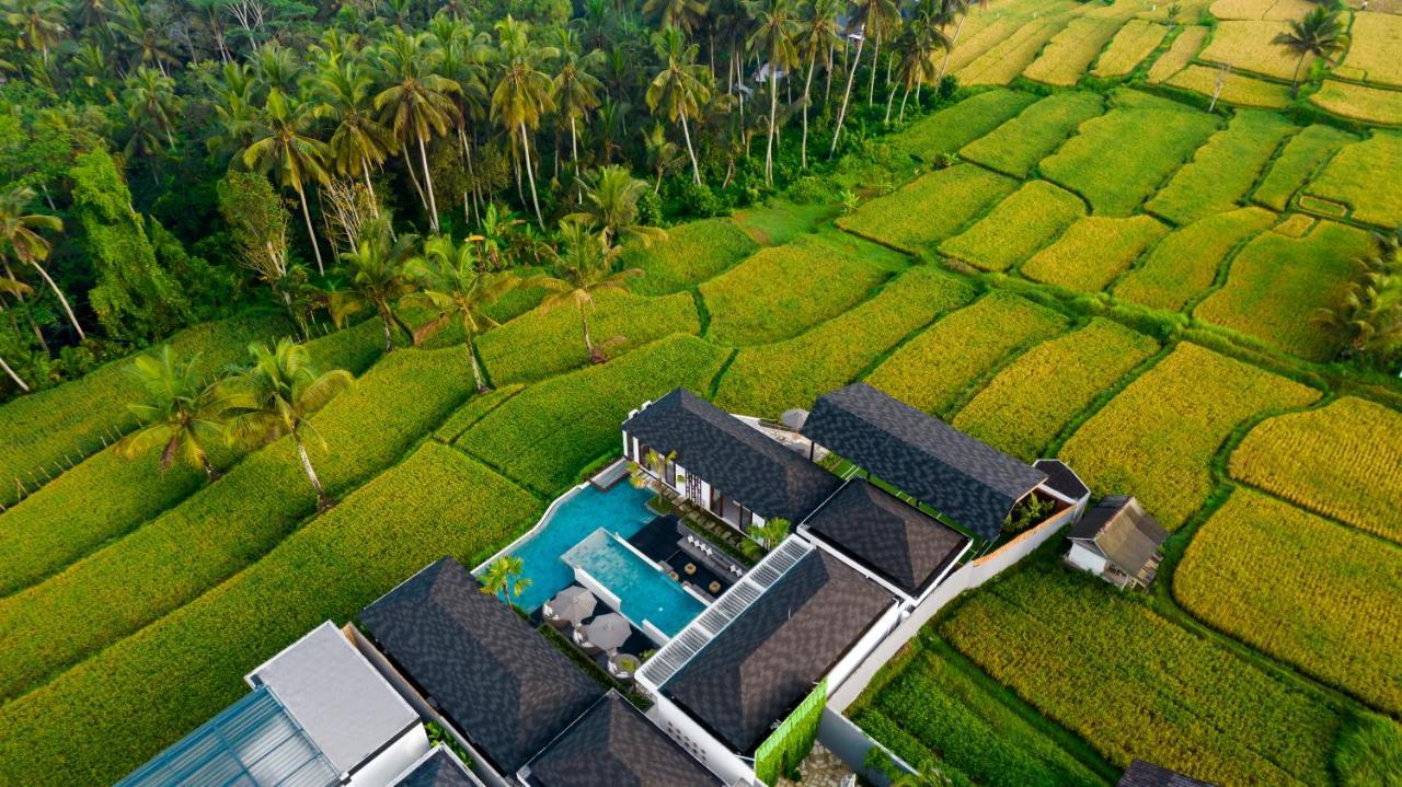 Villa Mia By Balisuperhost Ubud Eksteriør billede